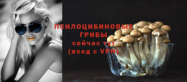 дурь Балахна