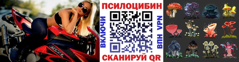 Галлюциногенные грибы Magic Shrooms  продажа наркотиков  Кубинка 